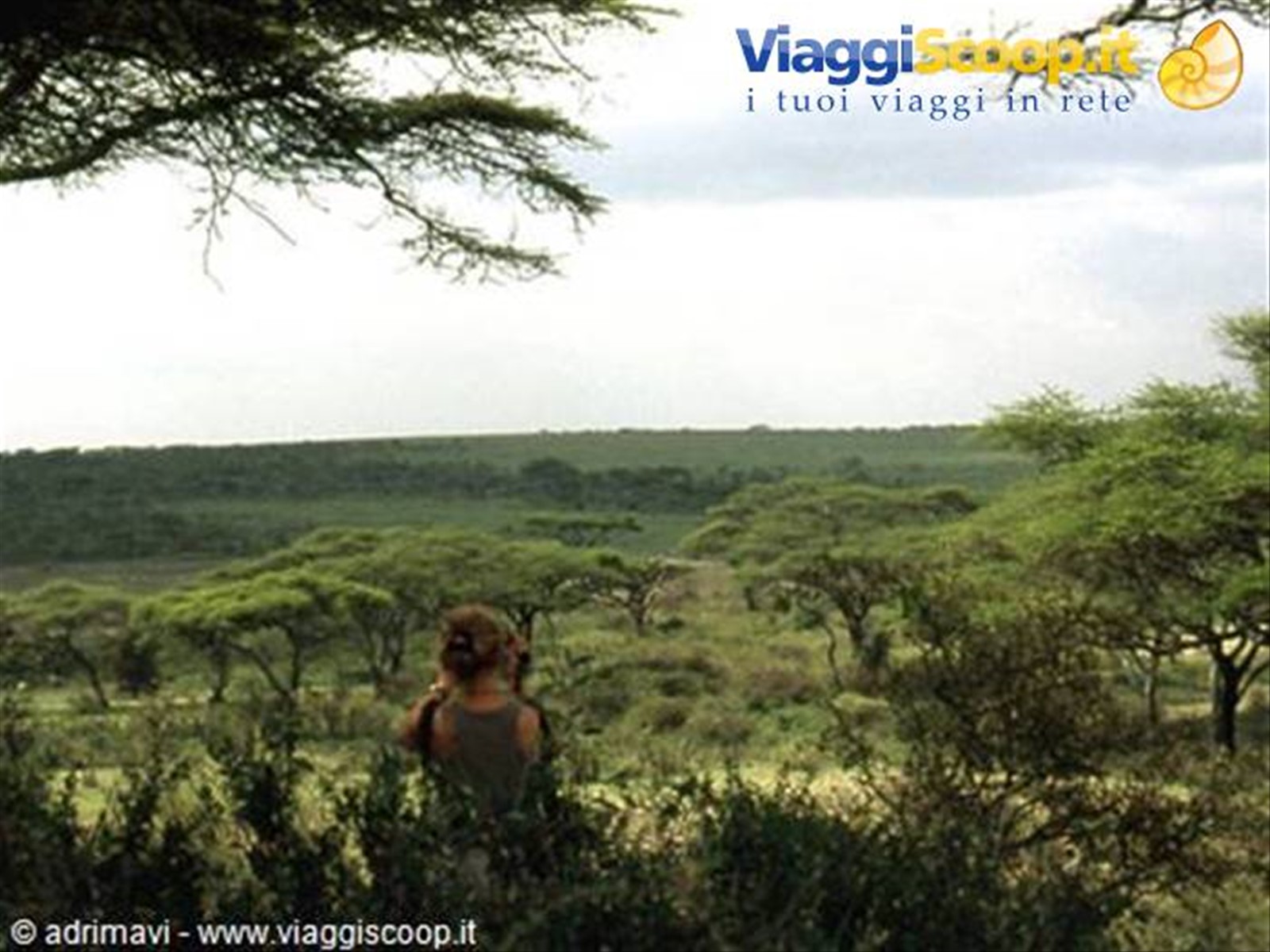 Lago Ndutu