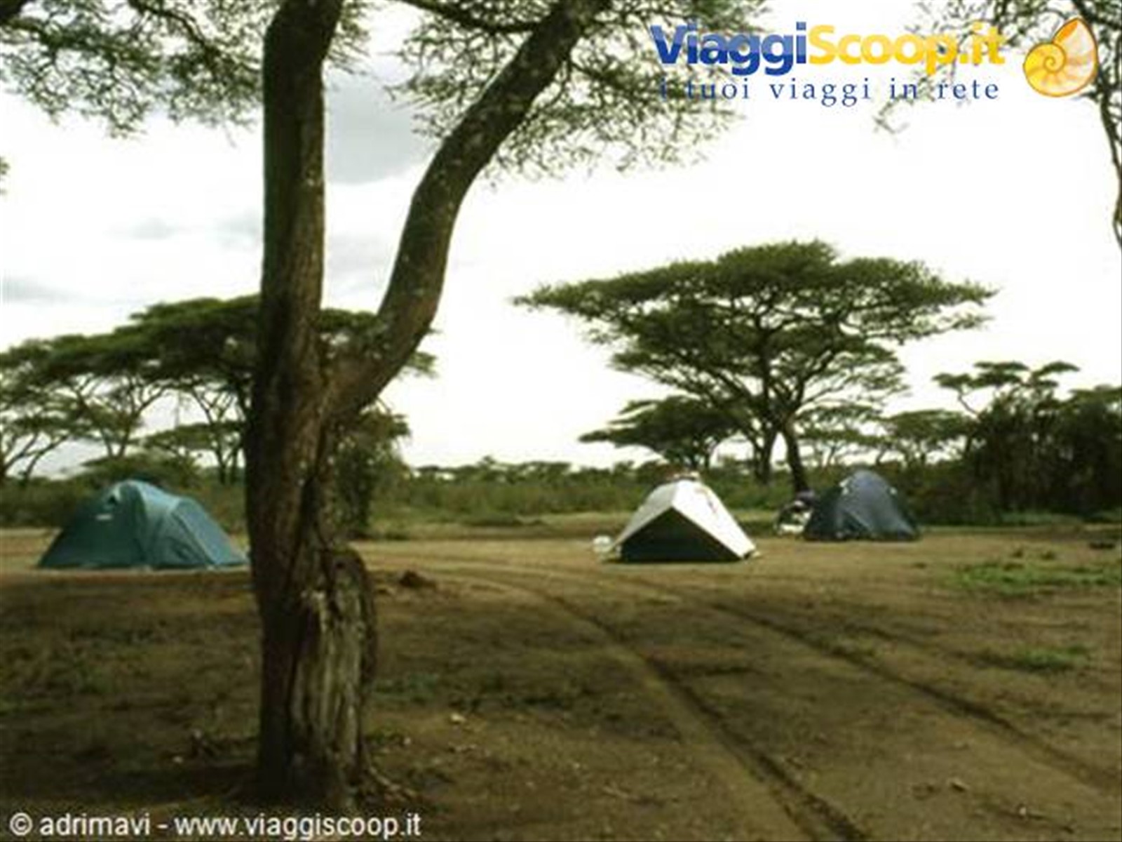 campo presso il Lago Ndutu