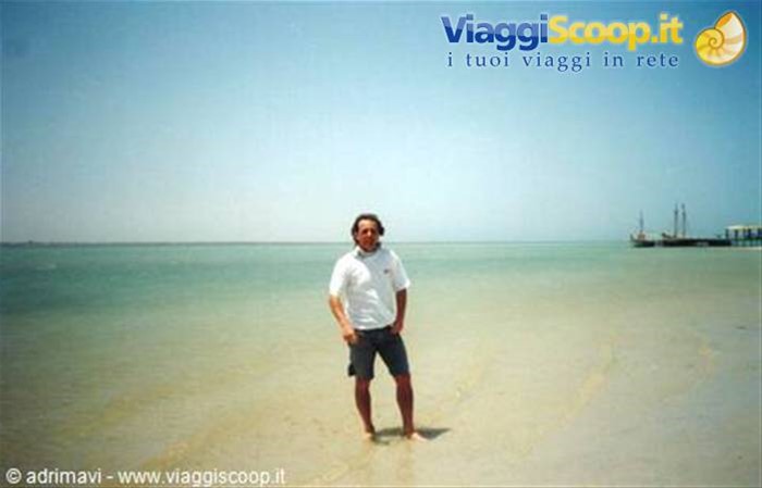 l'isola dei Fenicotteri - Djerba