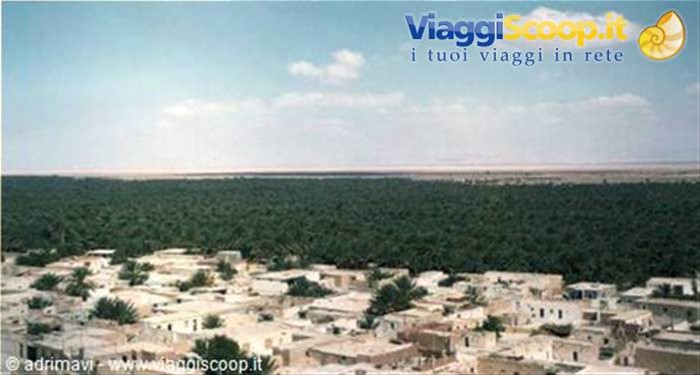 oasi di Nefta
