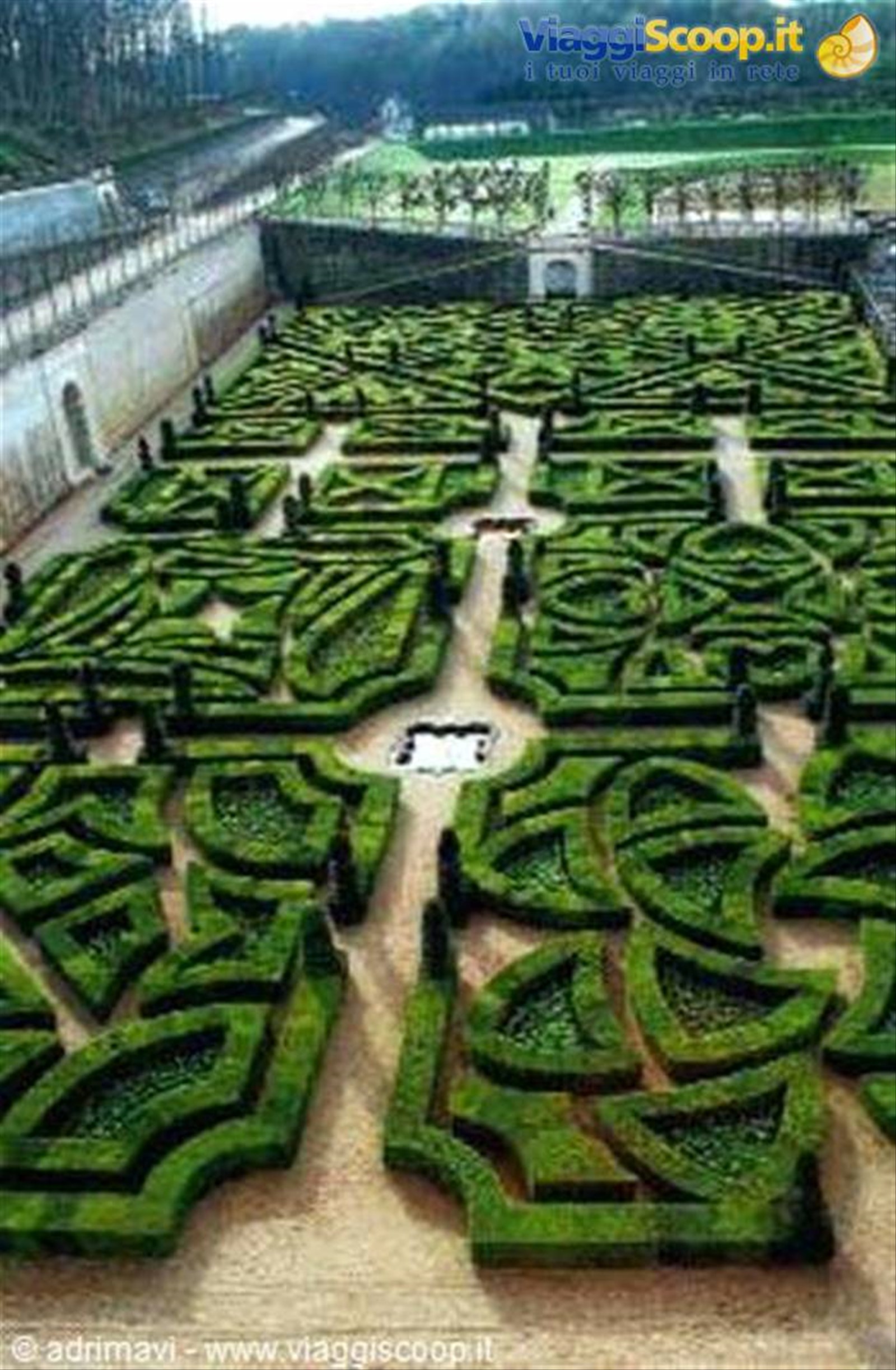giardino del castello di Villandry - Castelli della Loira