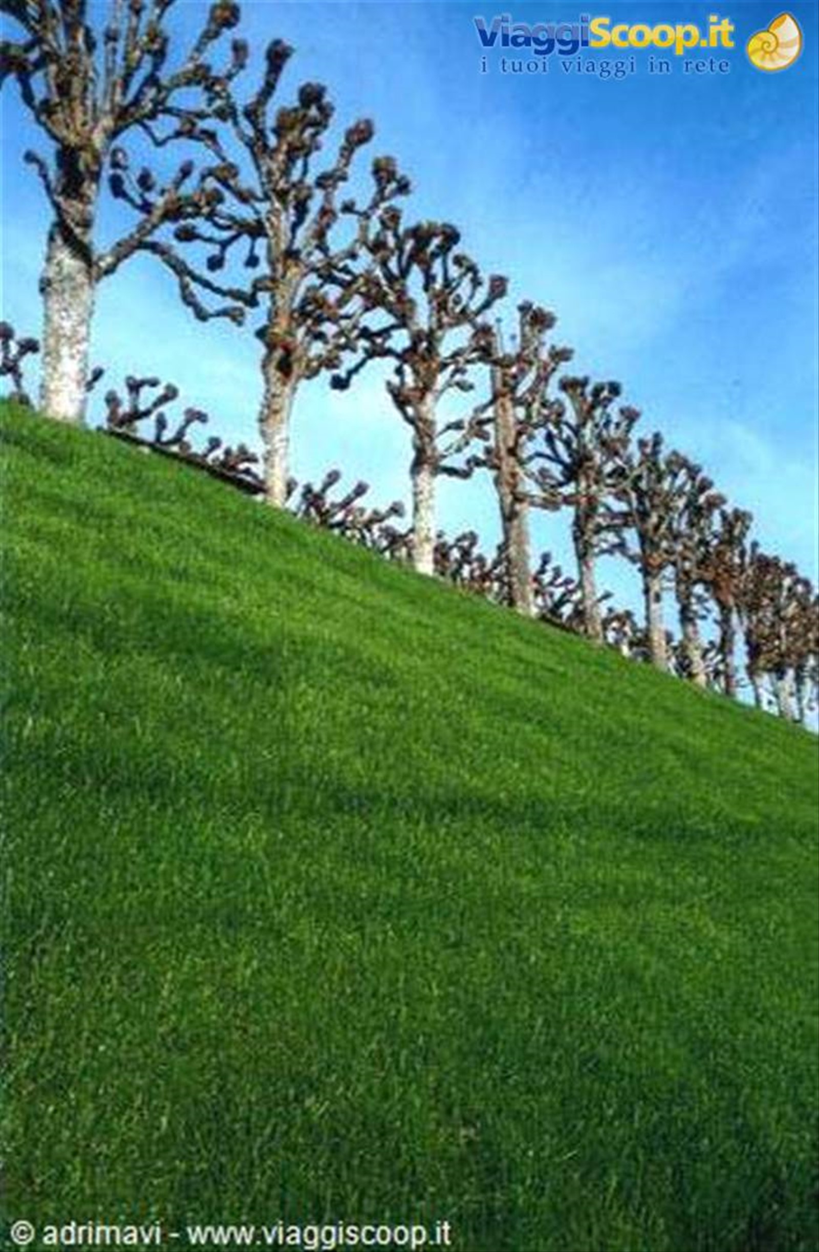 giardino del castello di Villandry - Castelli della Loira