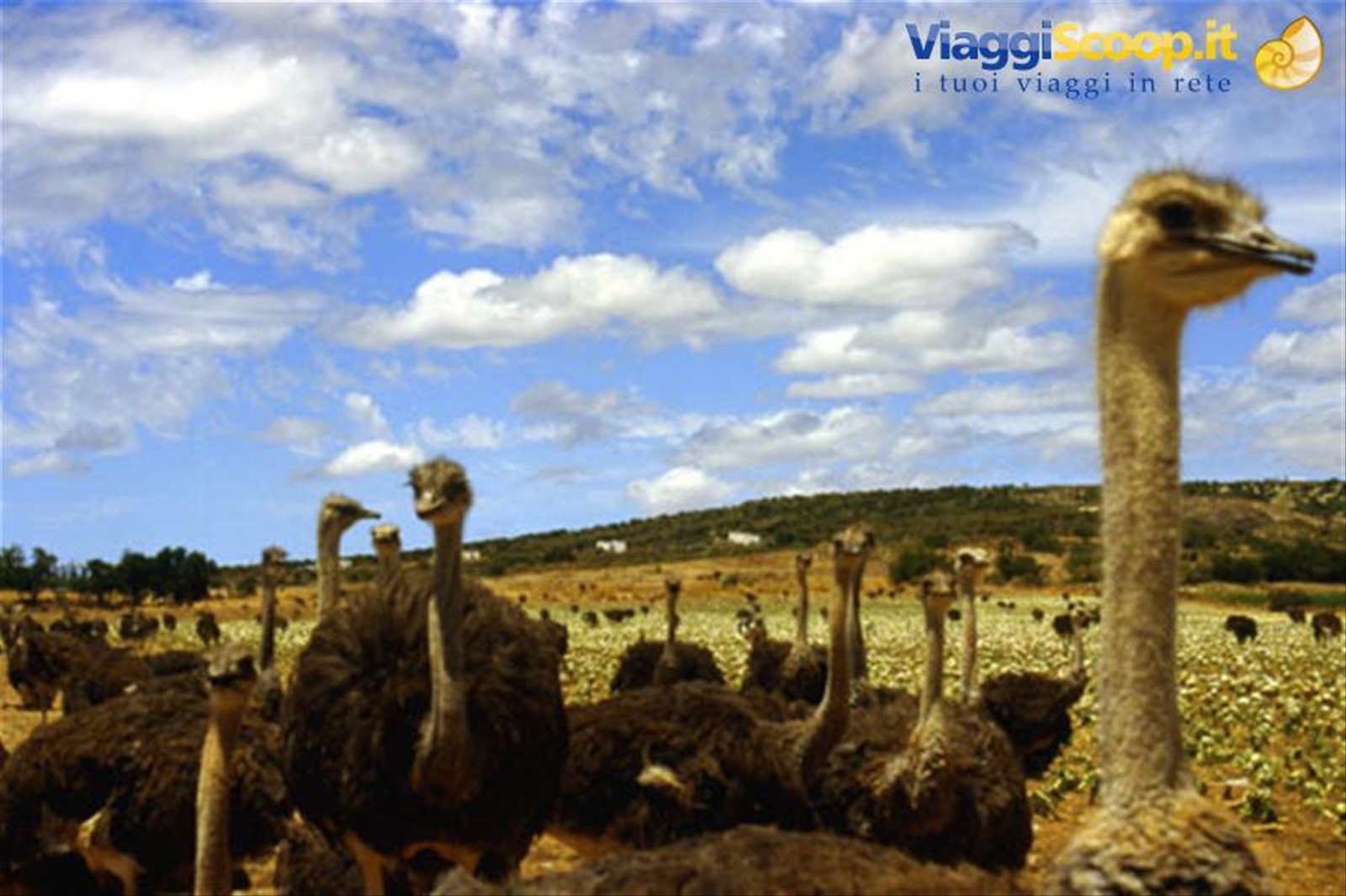 Foto di viaggio in SUD AFRICA