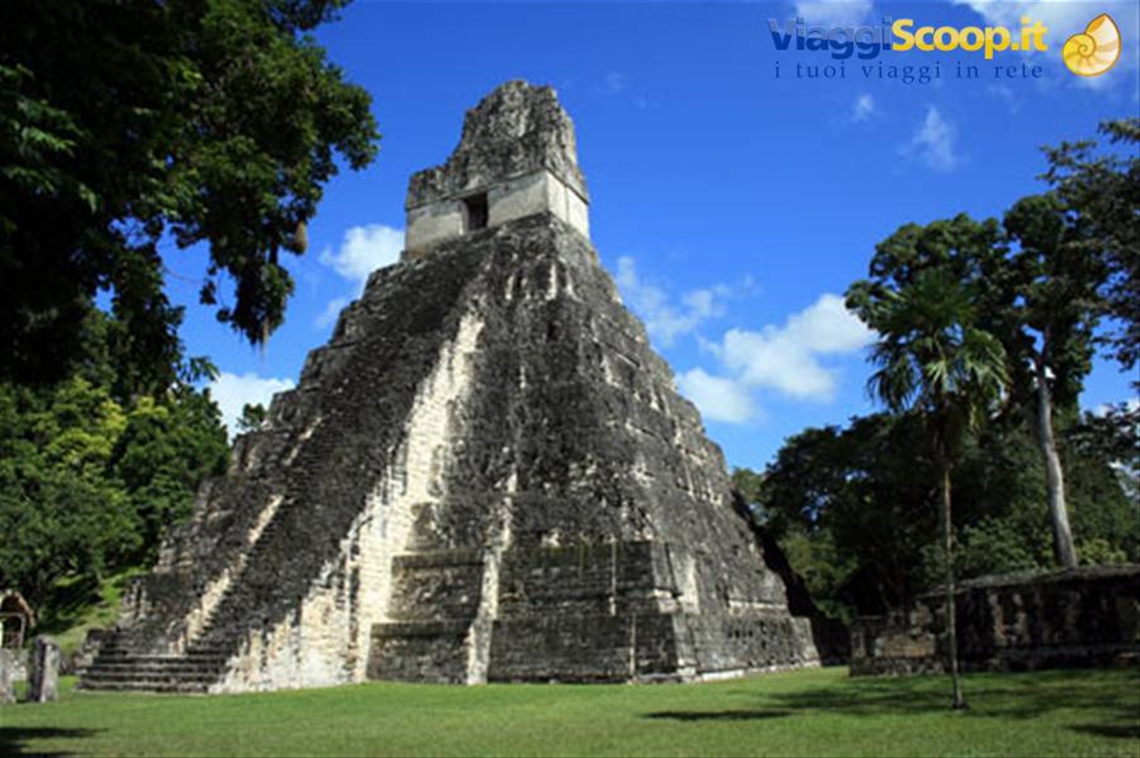 Tikal, tempio del Giaguaro