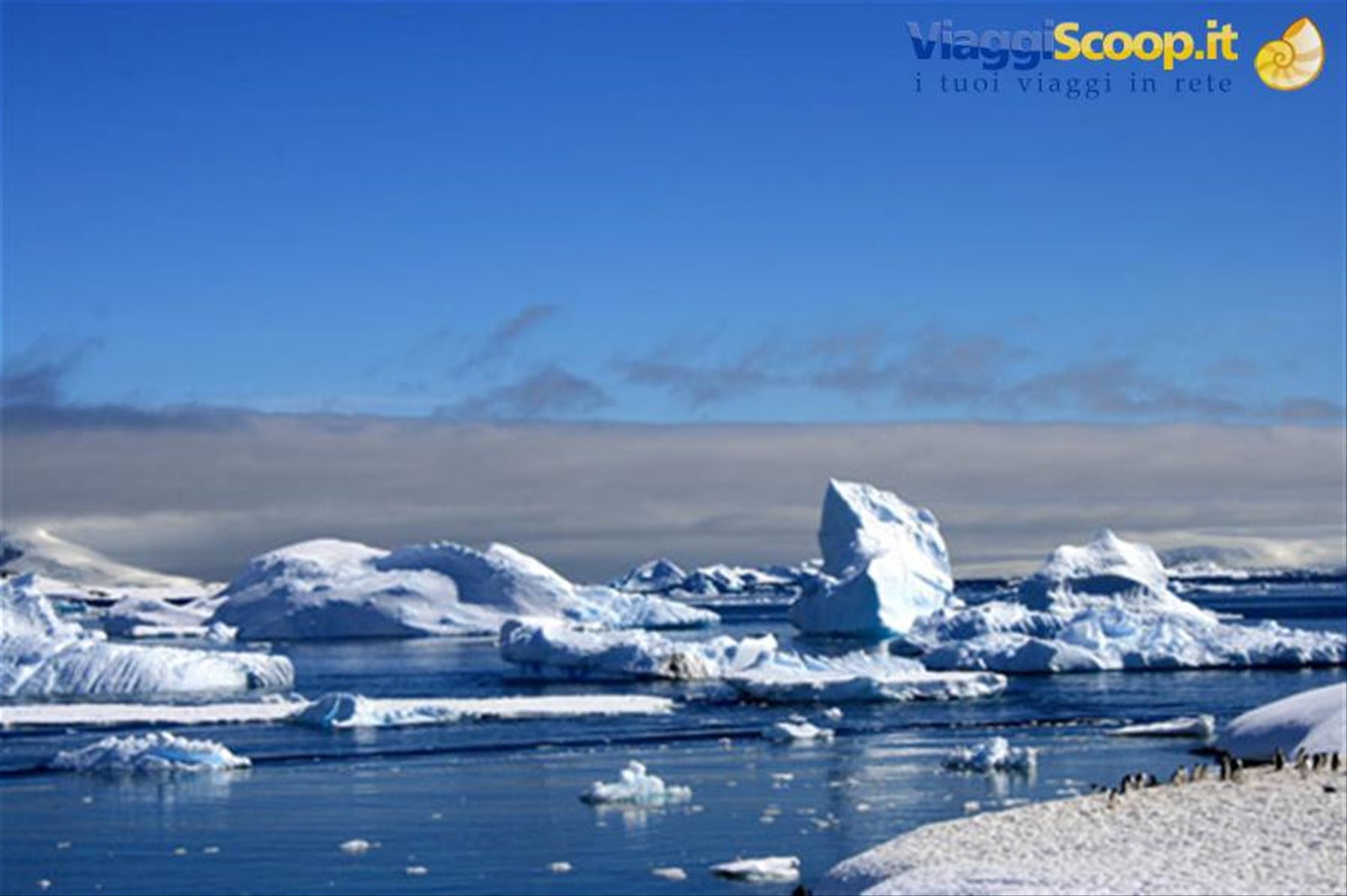 cuverville island