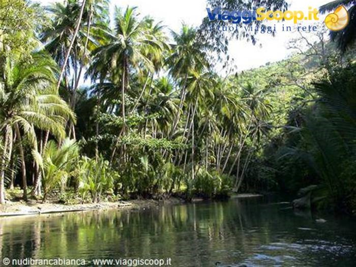 Isola di Cebu