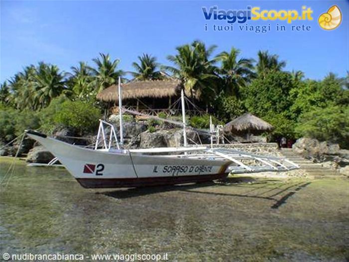 Sampaguita