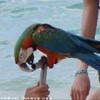 foto viaggio REPUBBLICA DOMINICANA