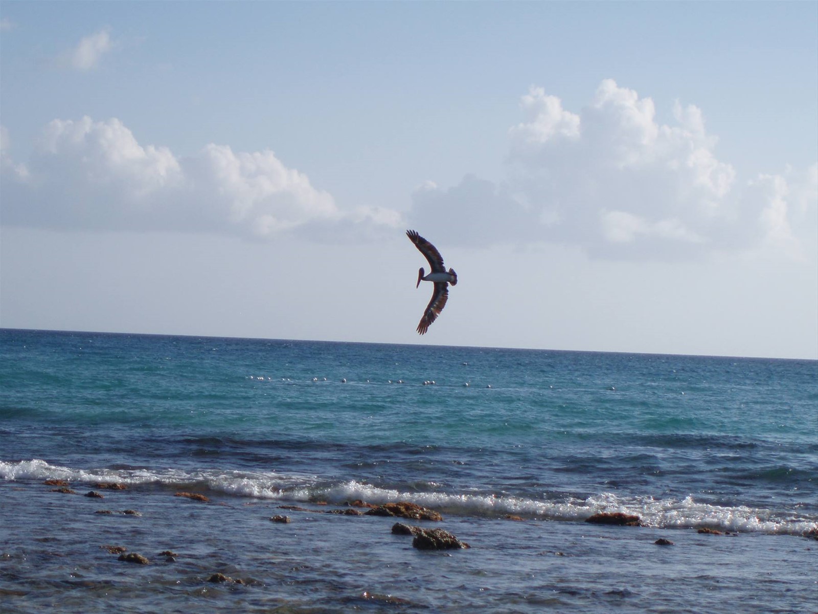 Foto di viaggio in REPUBBLICA DOMINICANA