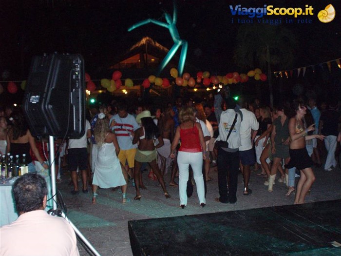 Viva Dominicus By Night