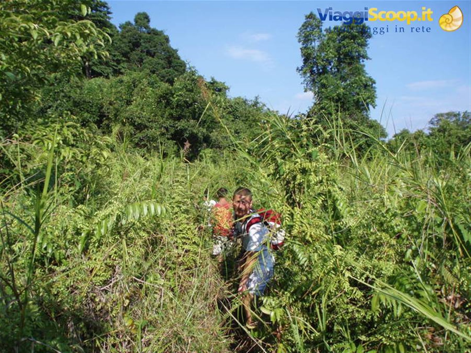 Sentiero nella "foresta" dal Pir all'Arwana
