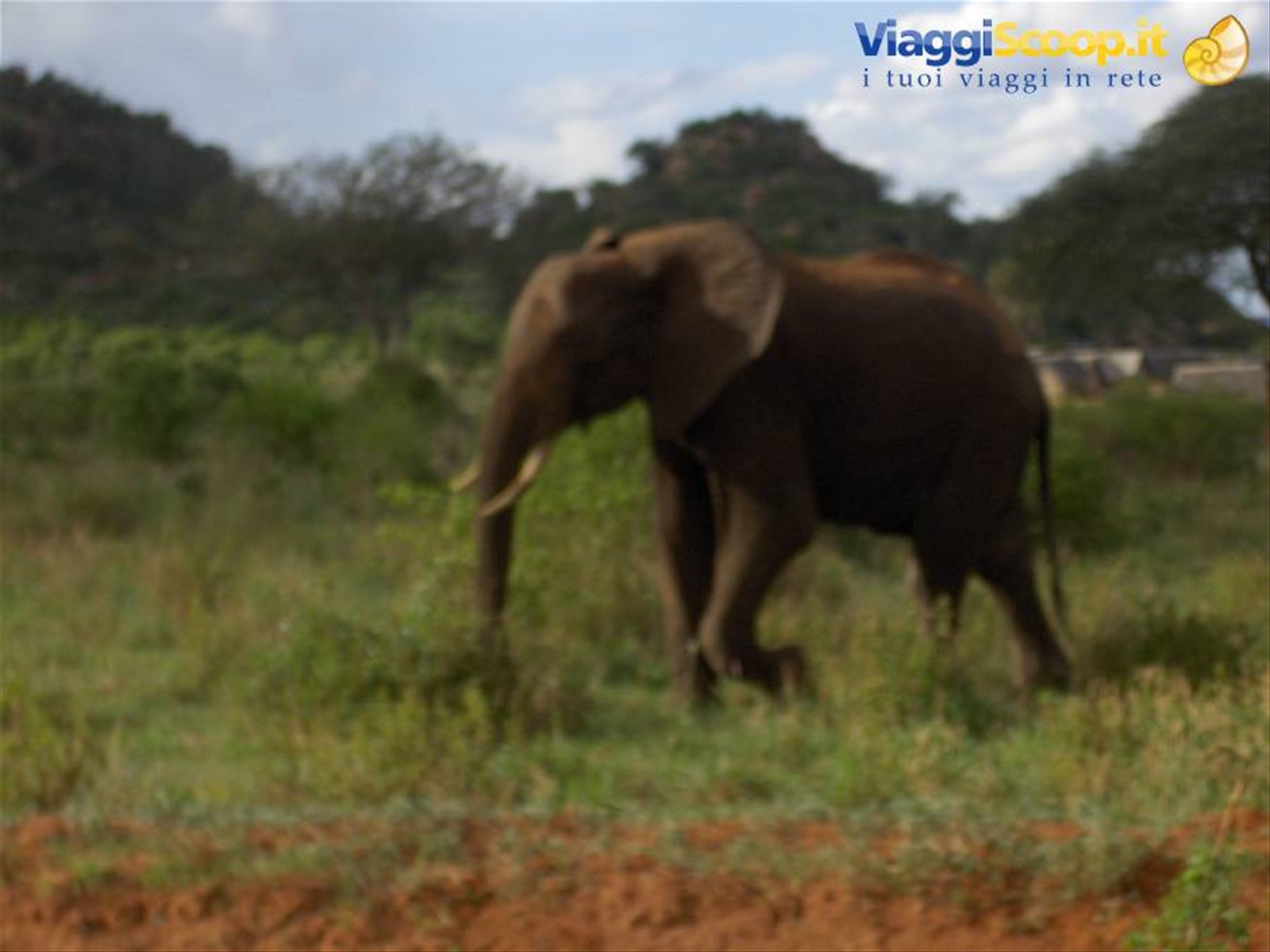 Foto di viaggio in KENYA