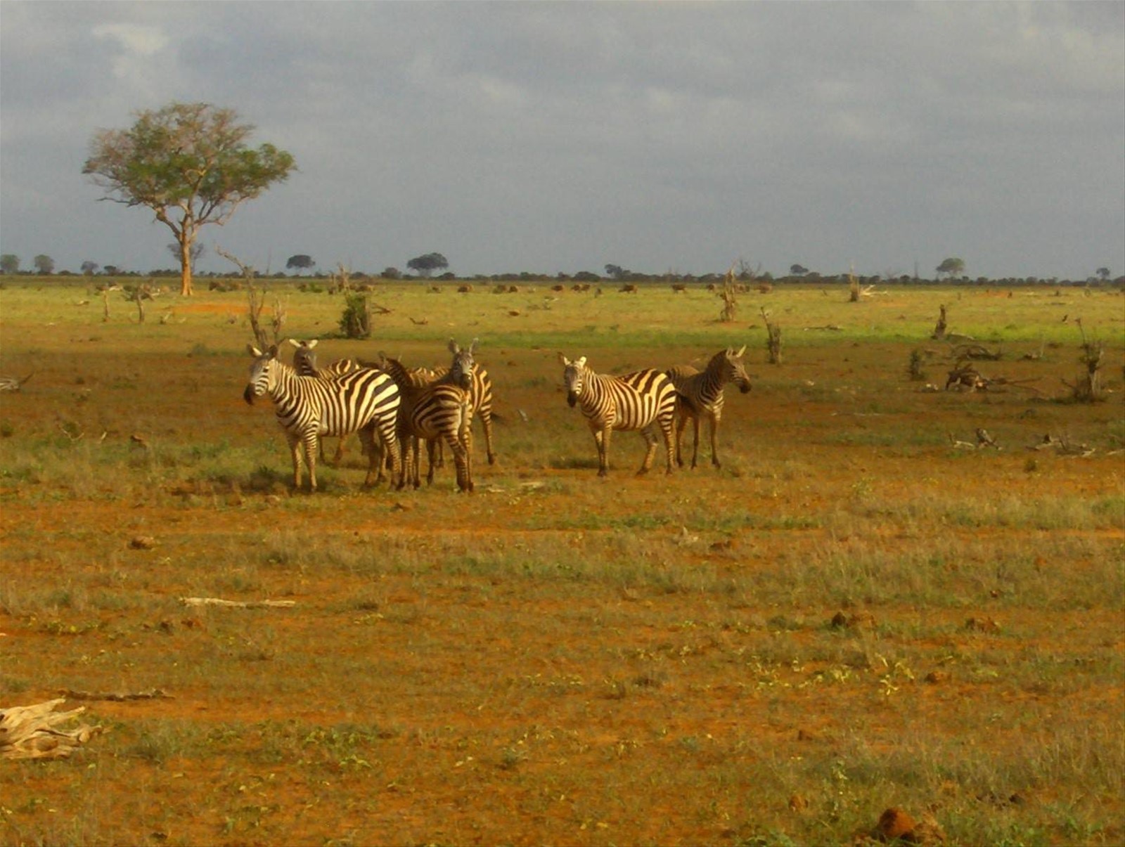 Foto di viaggio in KENYA