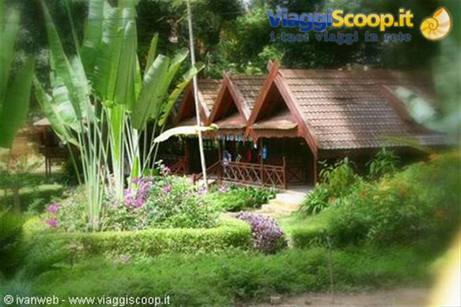 Taman Negara