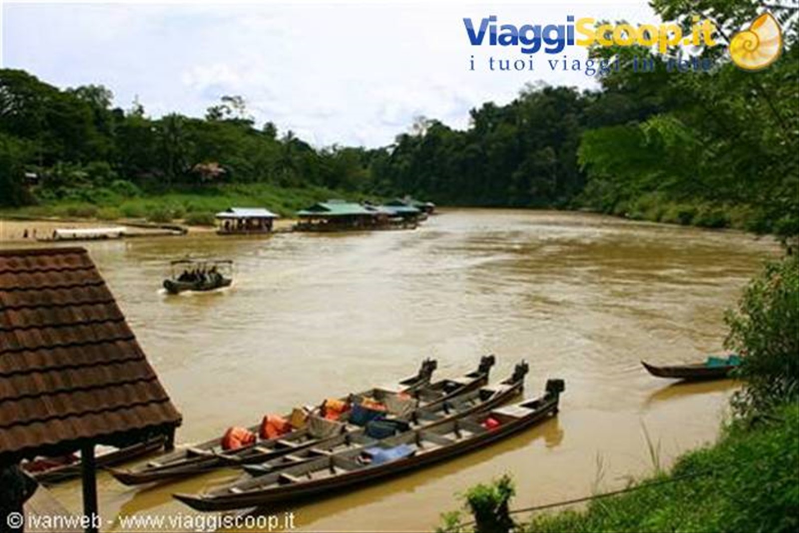 Taman Negara