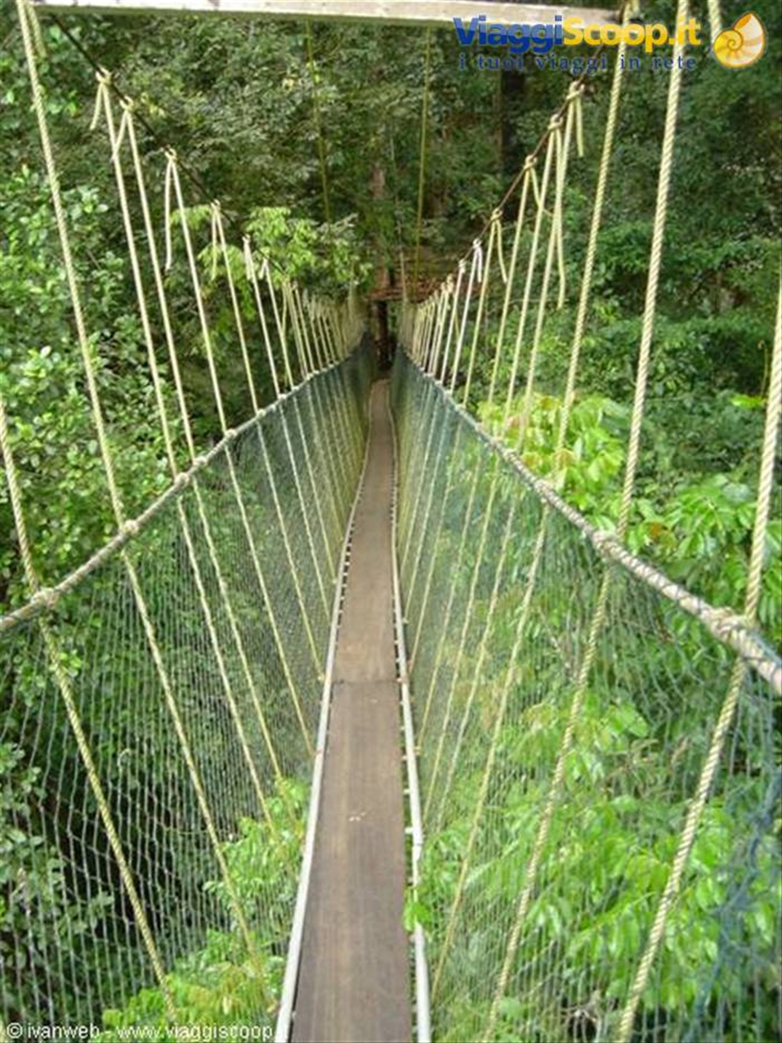 Taman Negara