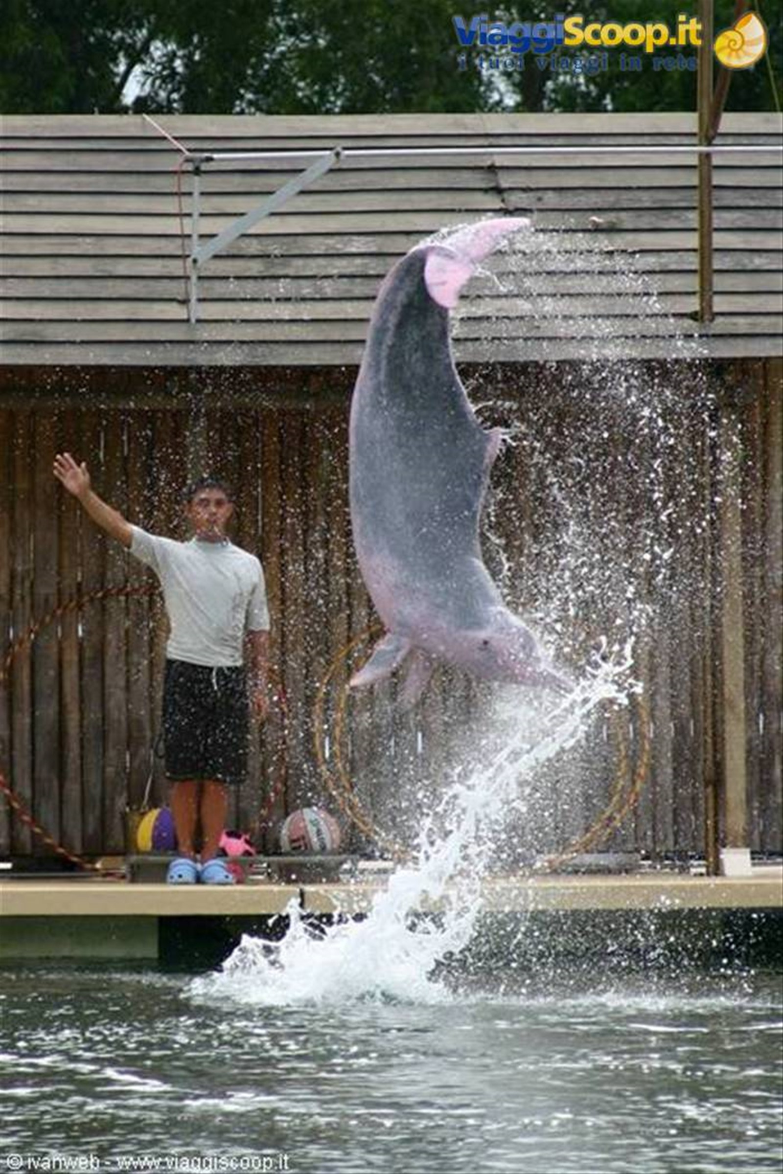 Dolphin Lagoon
