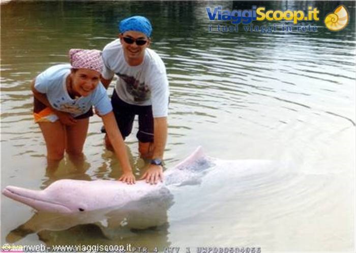 Dolphin Lagoon