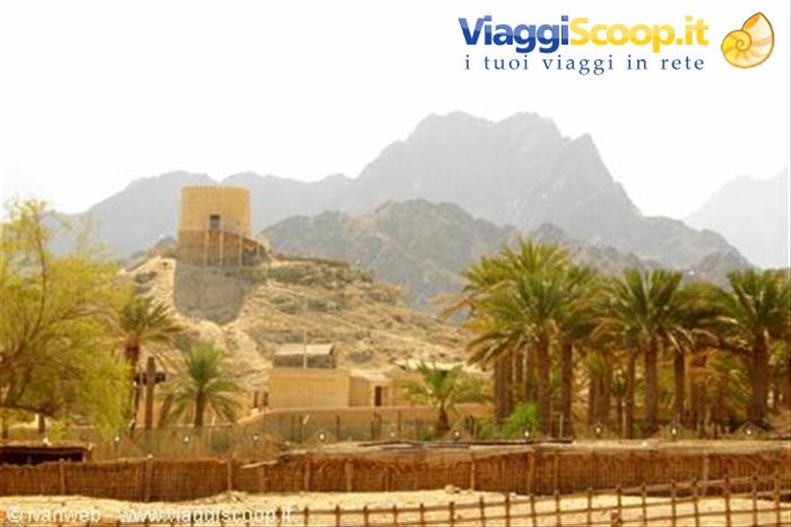 Foto di viaggio in EMIRATI ARABI UNITI