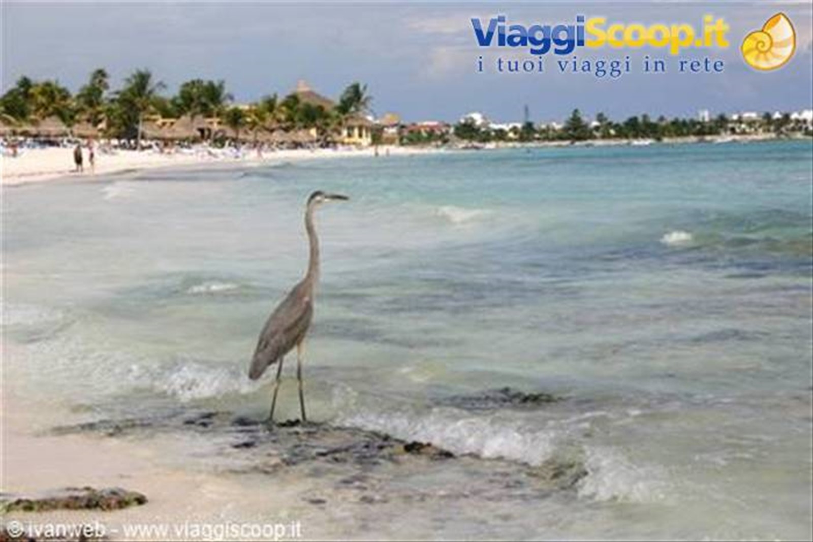 Foto di viaggio in MESSICO