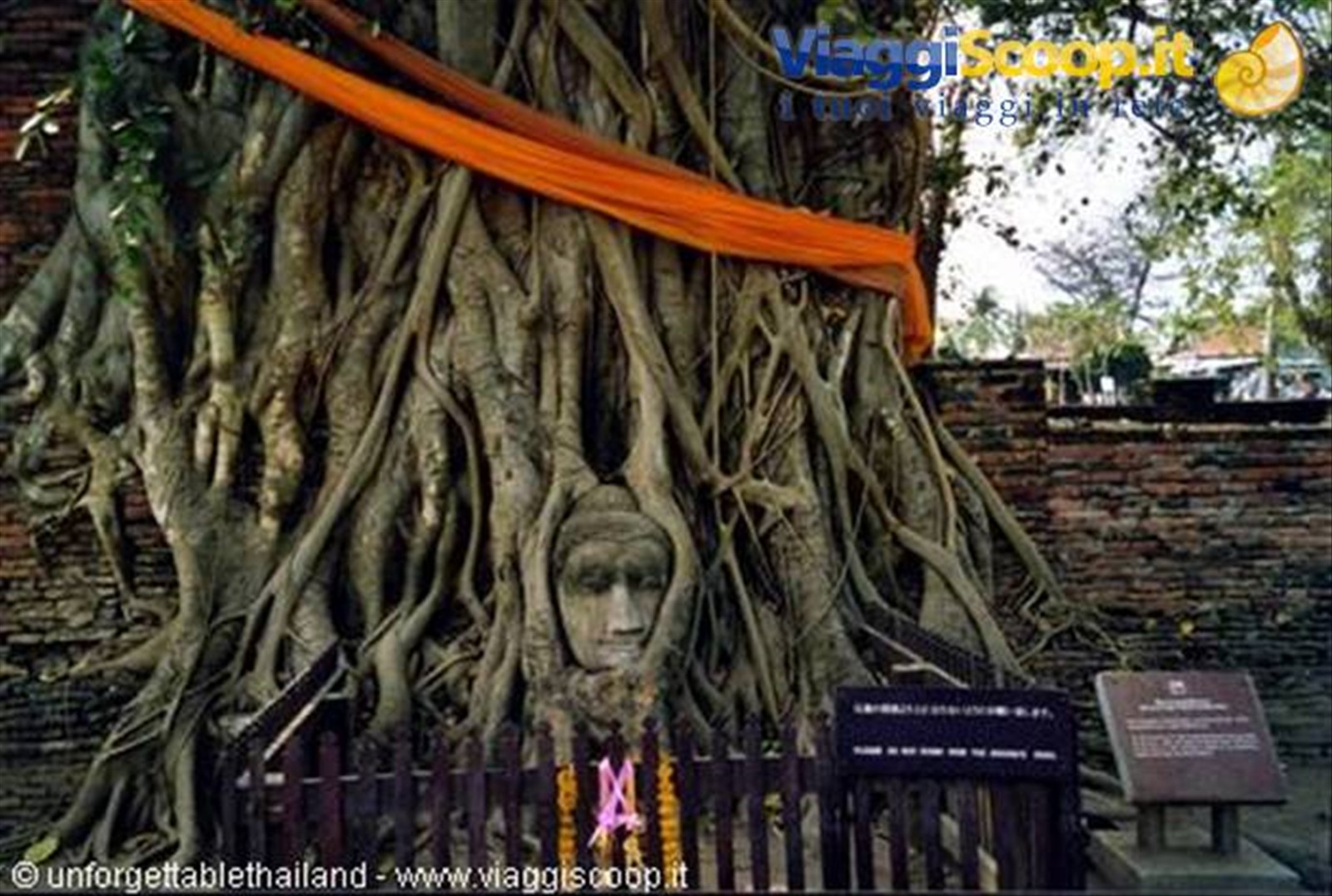 Wat Maha That Ayutthaya