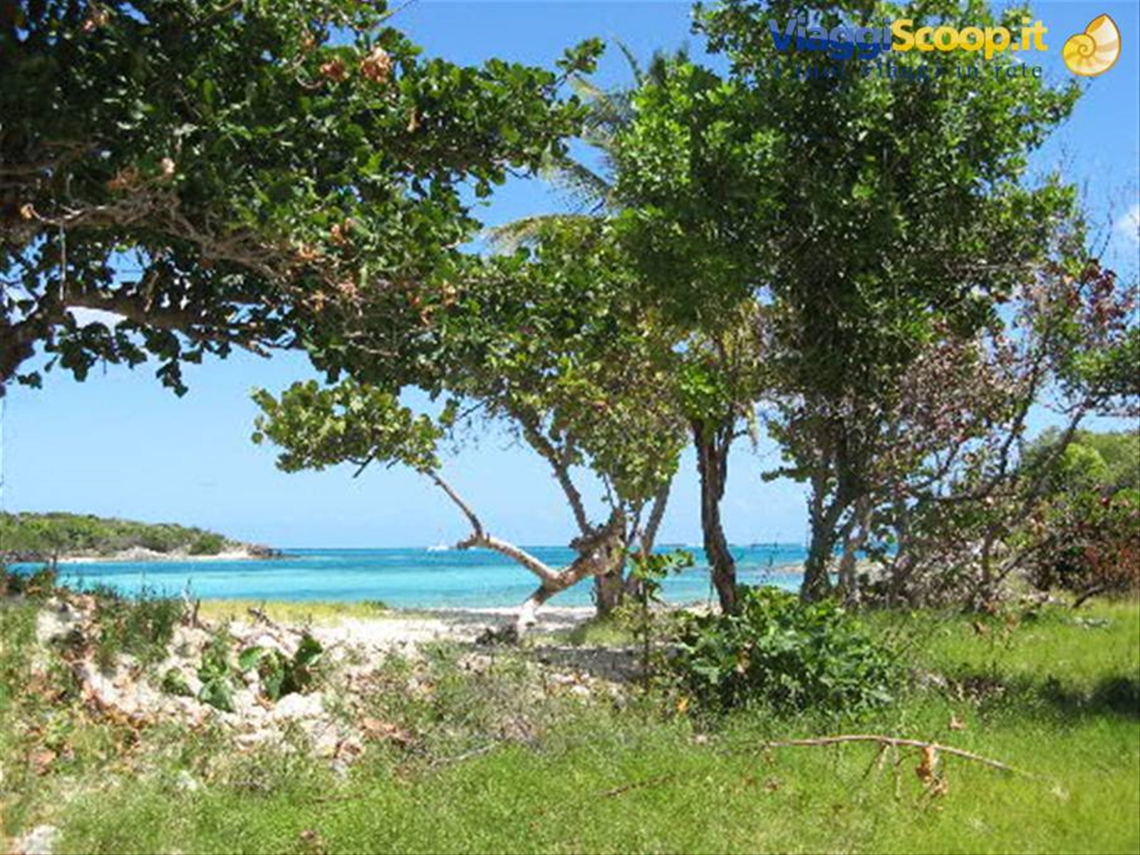 Foto di viaggio in SAINT VINCENT AND THE GRENADINES