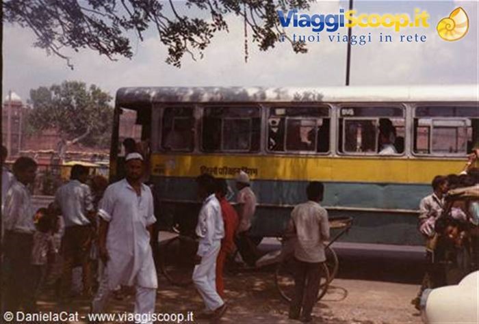 Non prendiamo l'autobus!!!