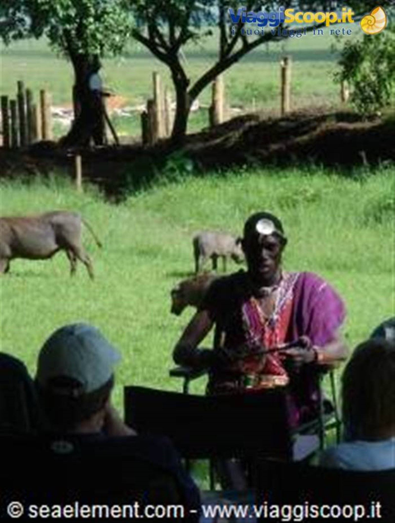 KENYA tra animal power e spiagge bianchissime