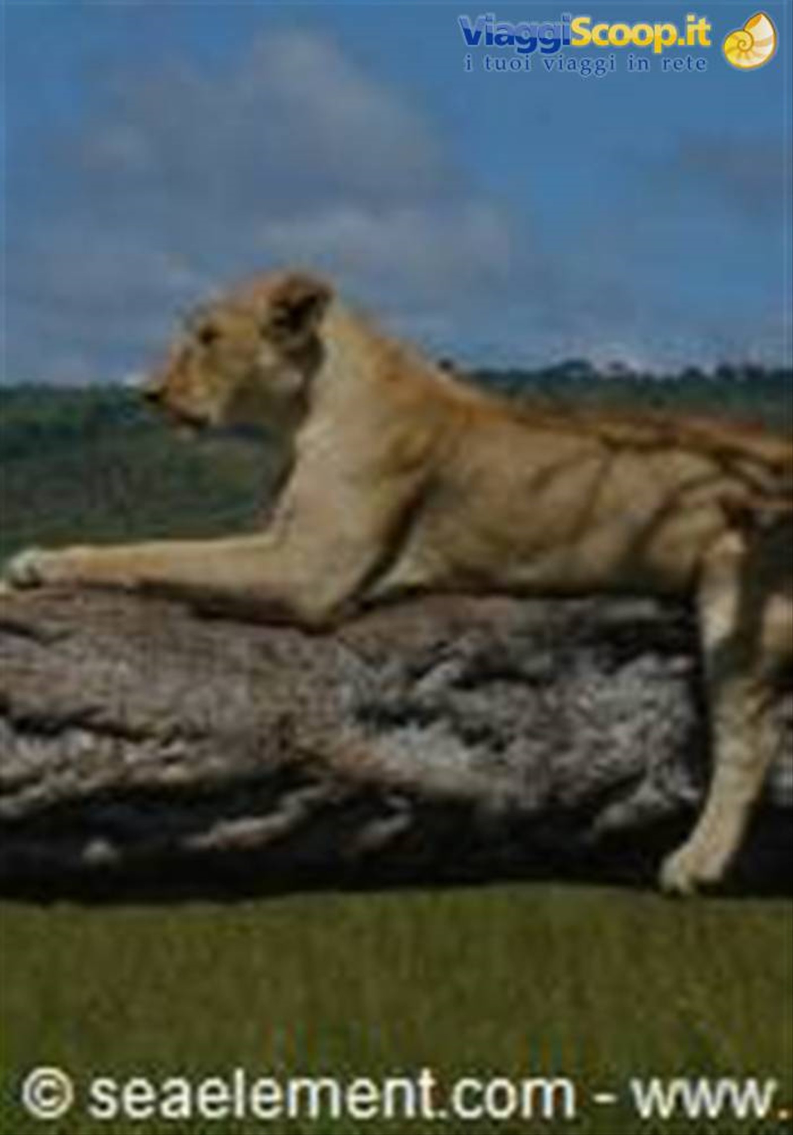 Foto di viaggio in KENYA