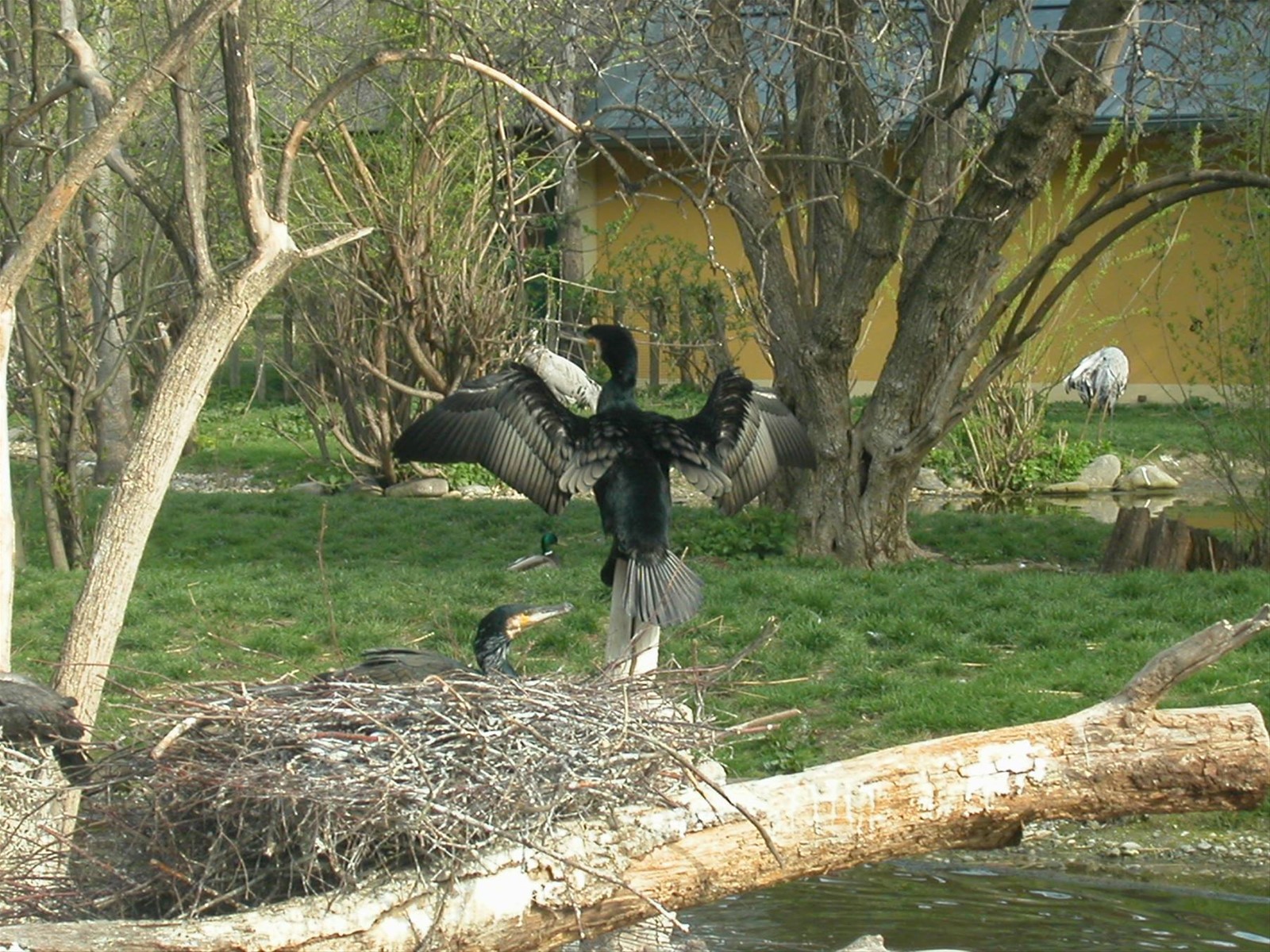 Vienna visita allo zoo