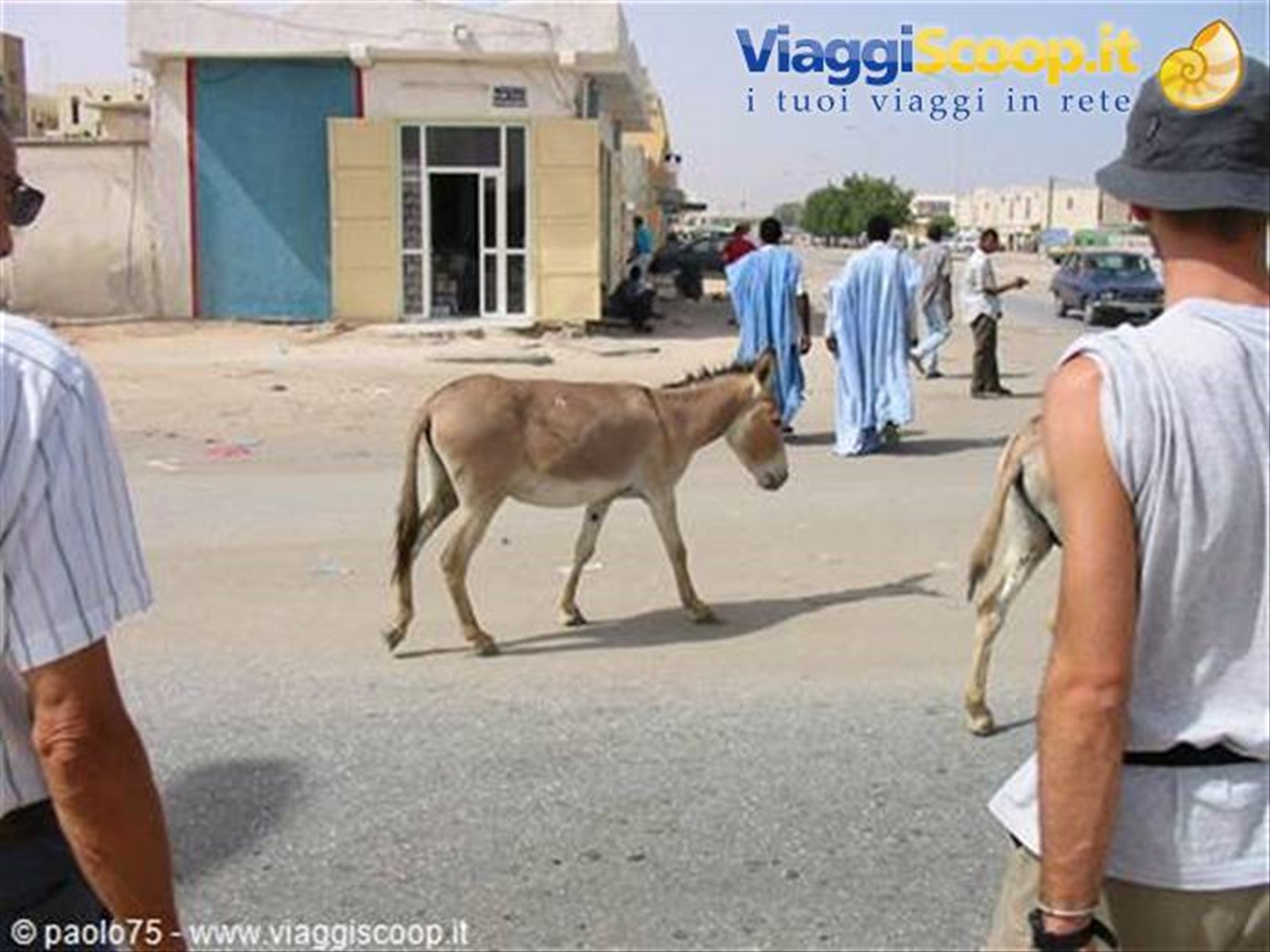 Foto di viaggio in MAURITANIA