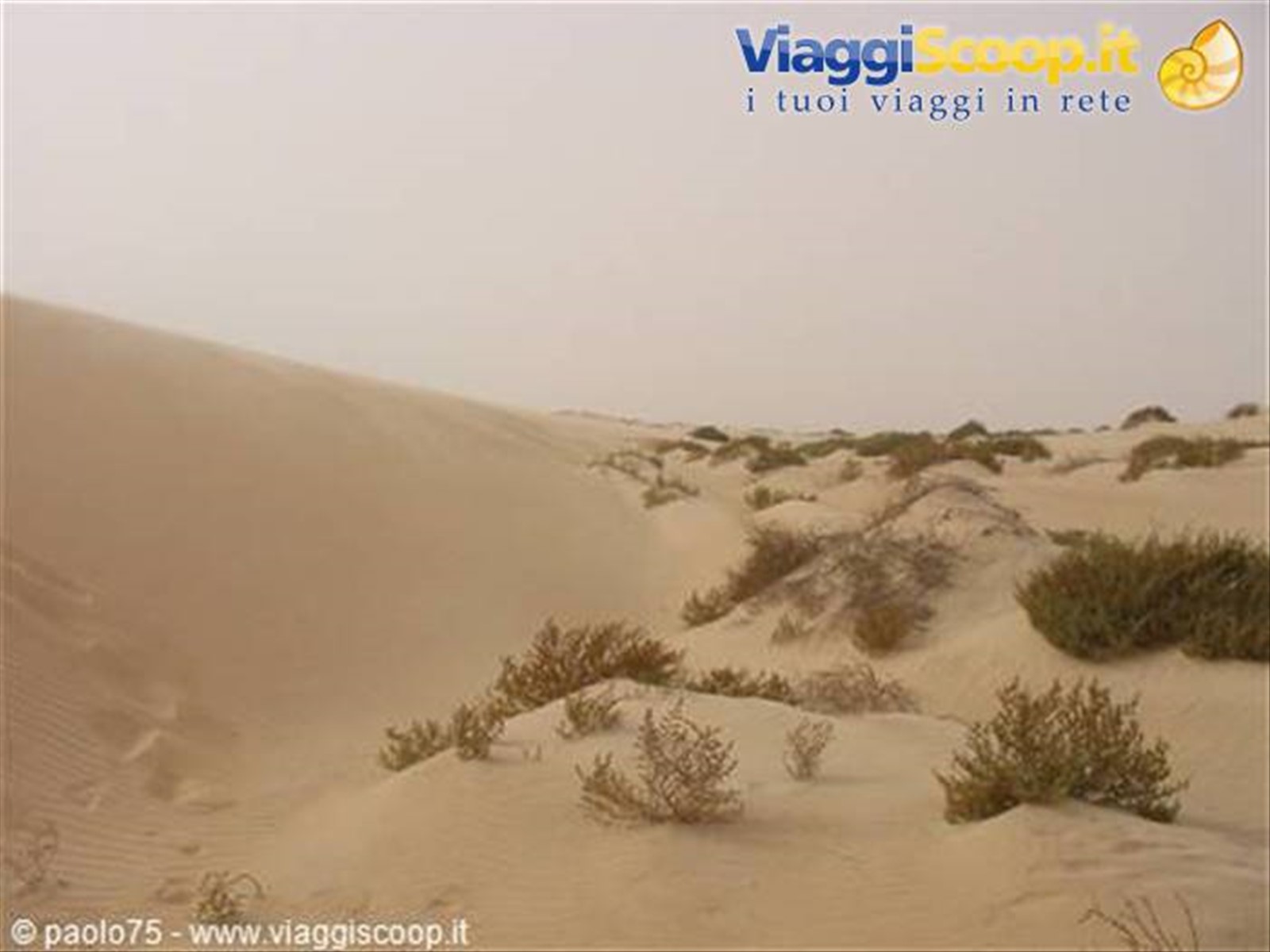 Foto di viaggio in MAURITANIA