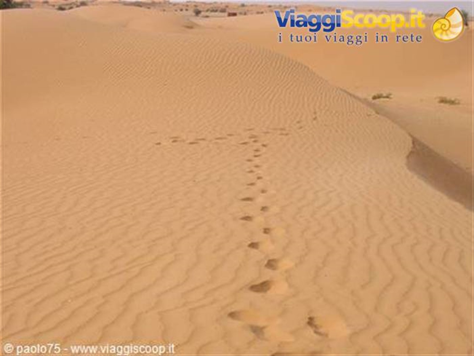 Foto di viaggio in MAURITANIA