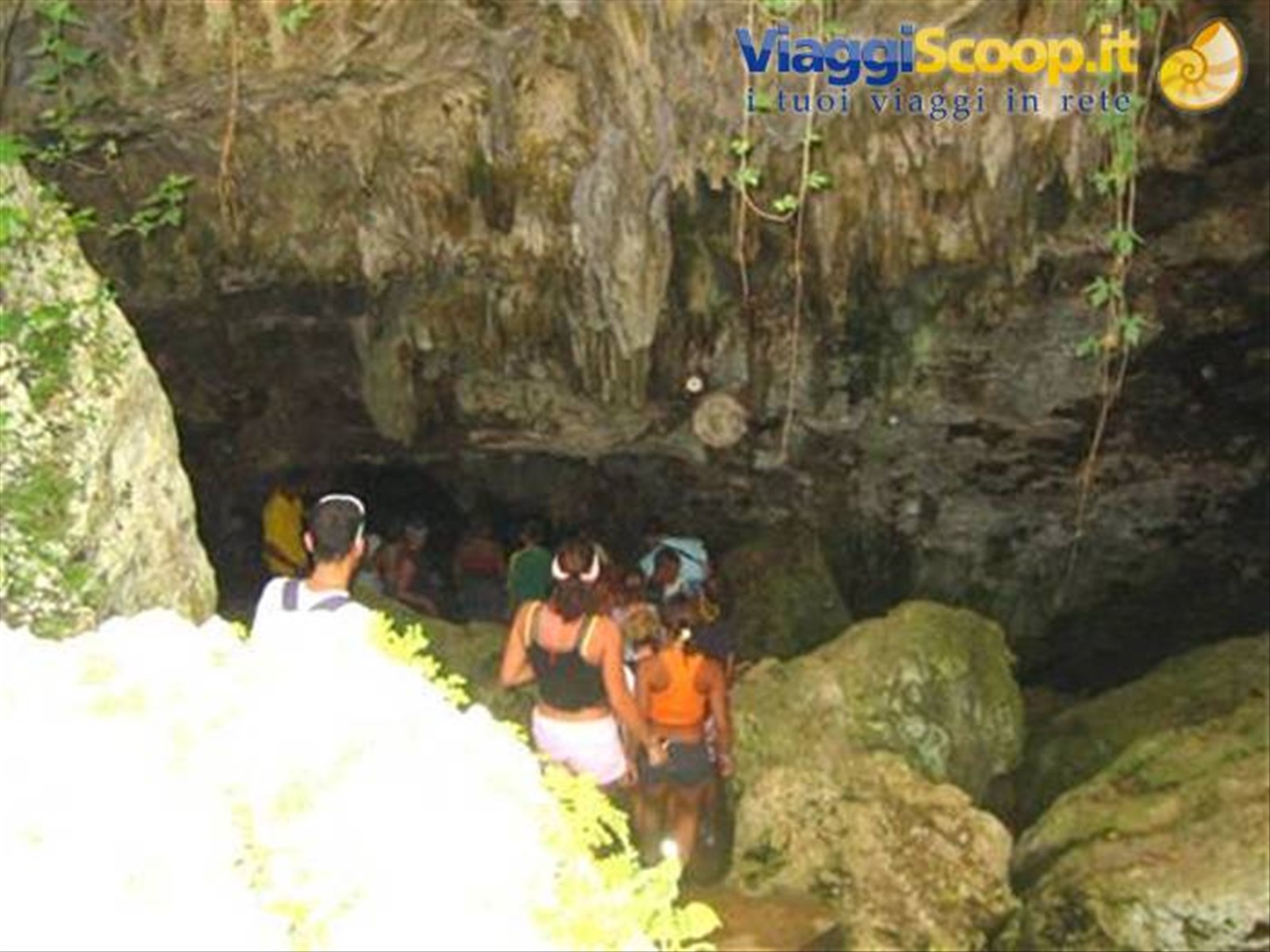 cenote