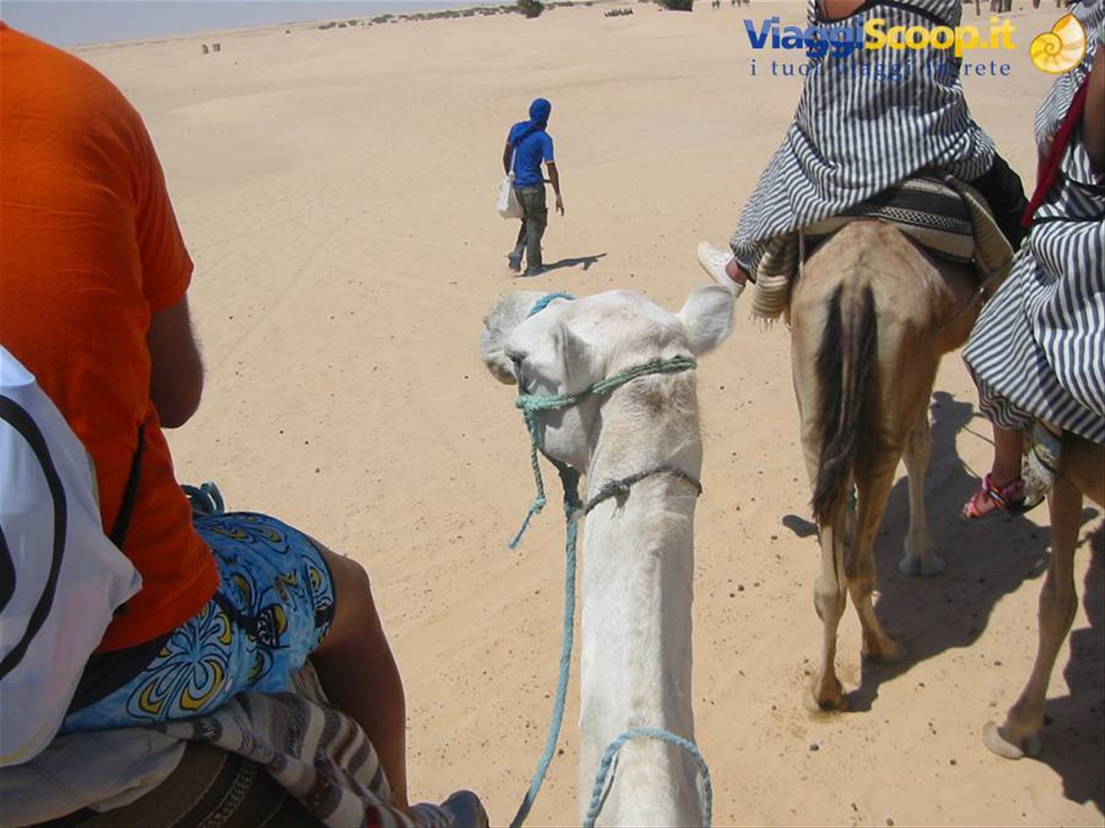 Foto di viaggio in TUNISIA