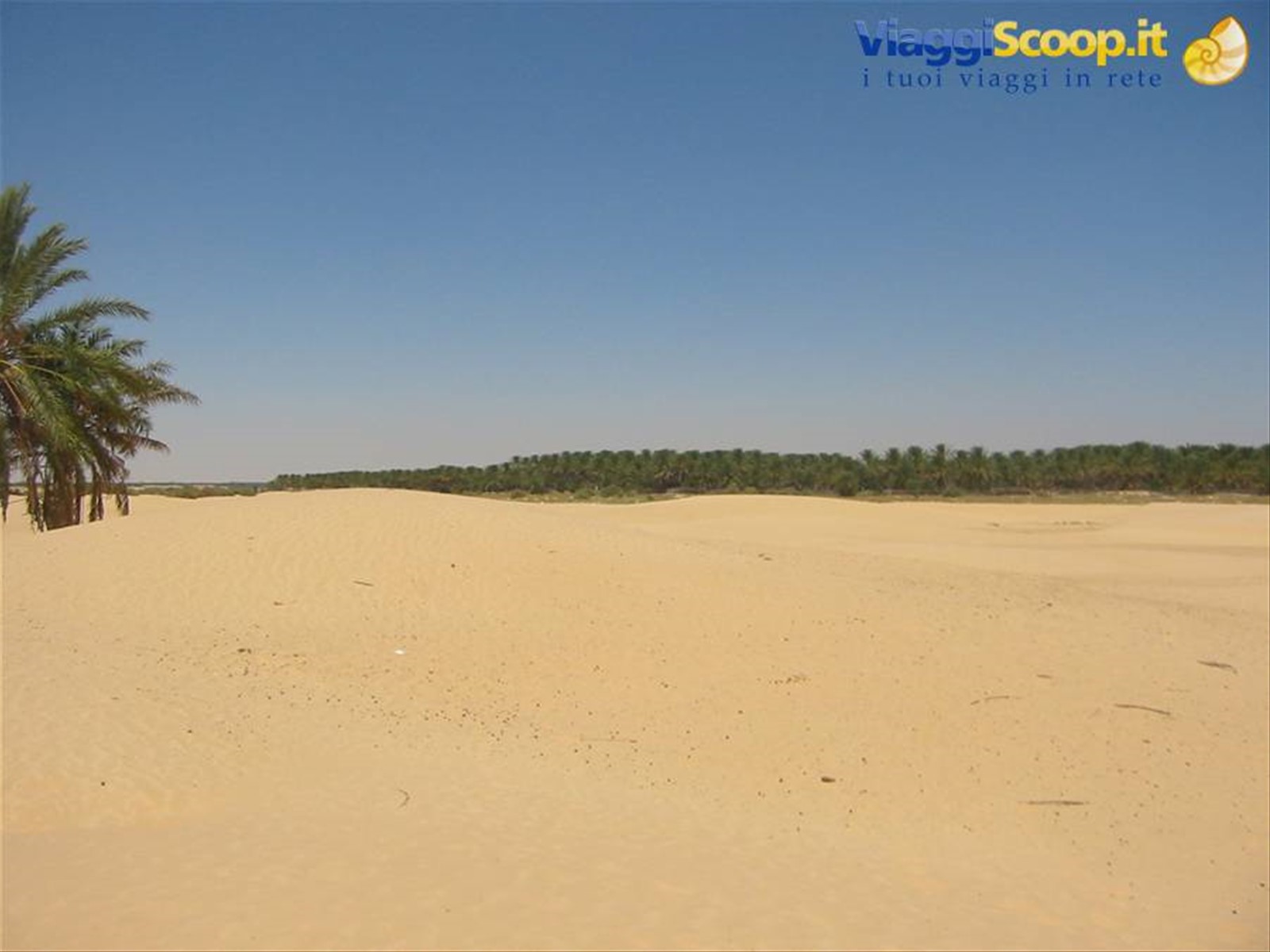 le porte del sahara a douz