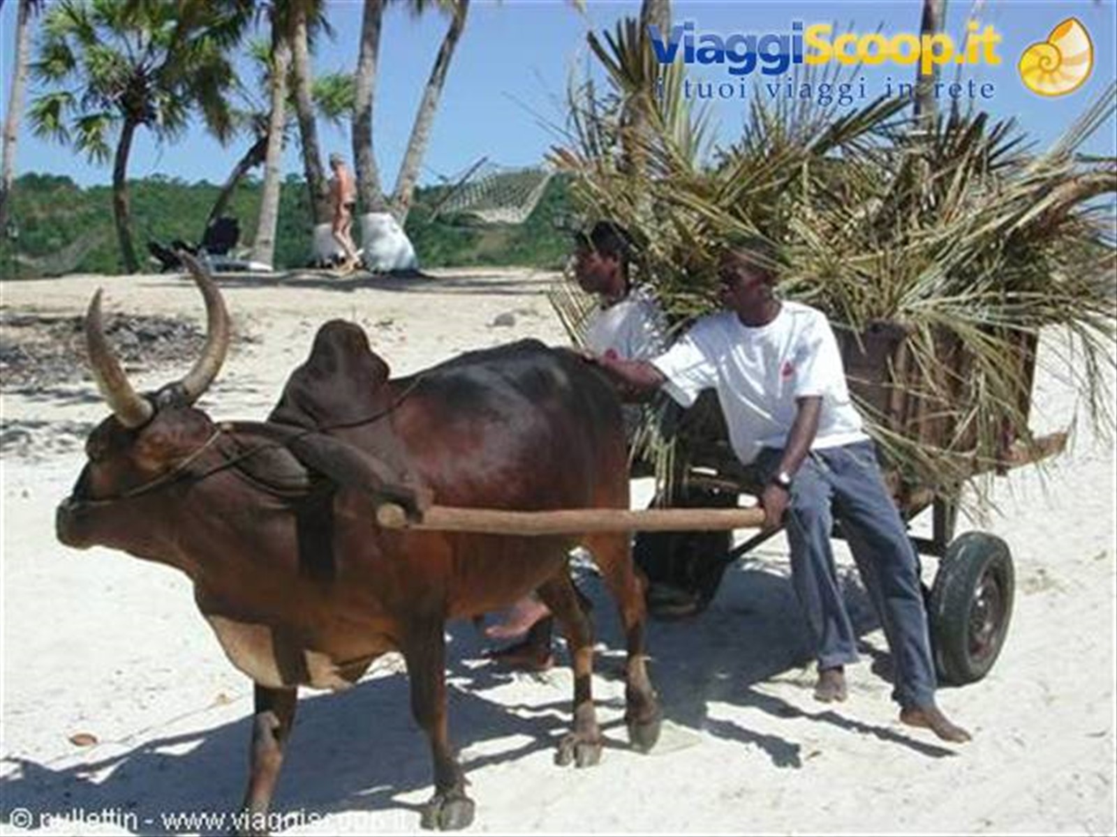 Foto di viaggio in MADAGASCAR