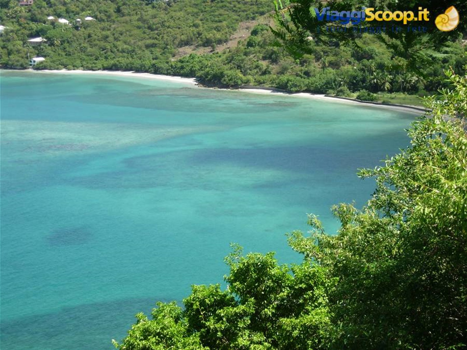 Tortola