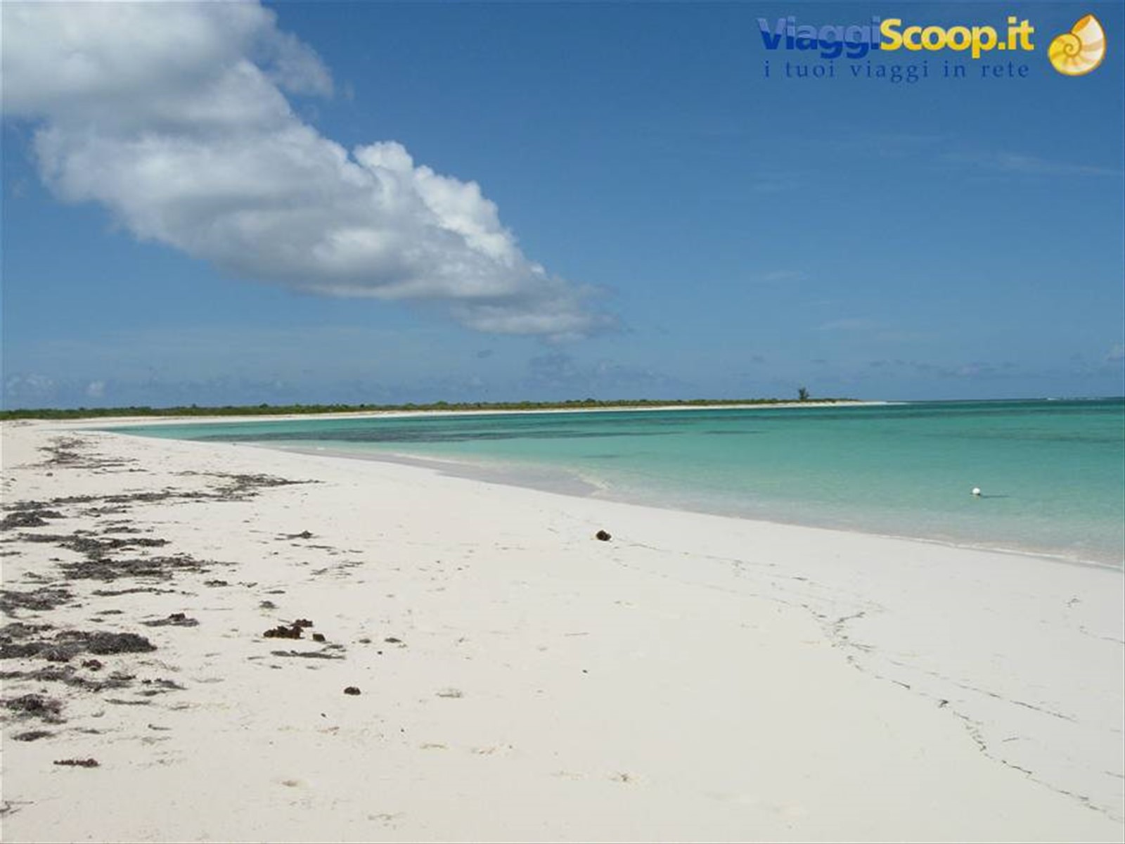 Anegada