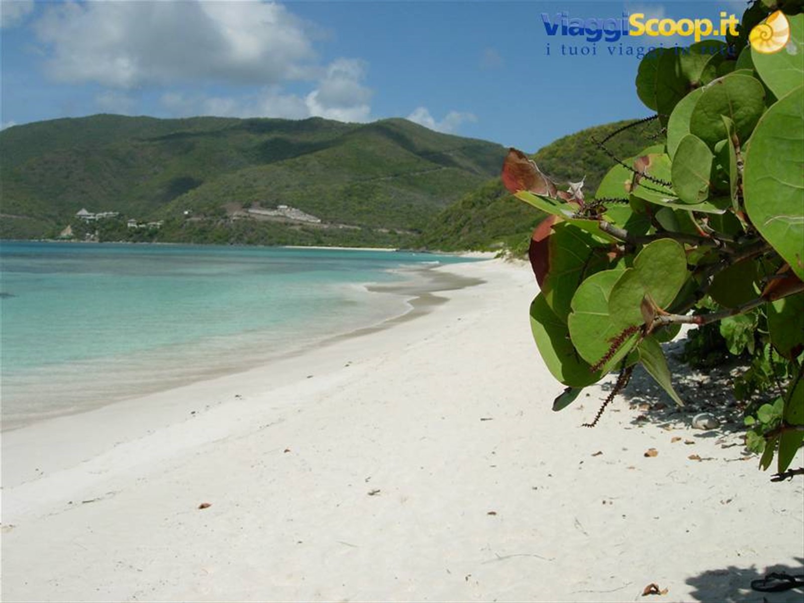 Virgin Gorda - Savannah Bay