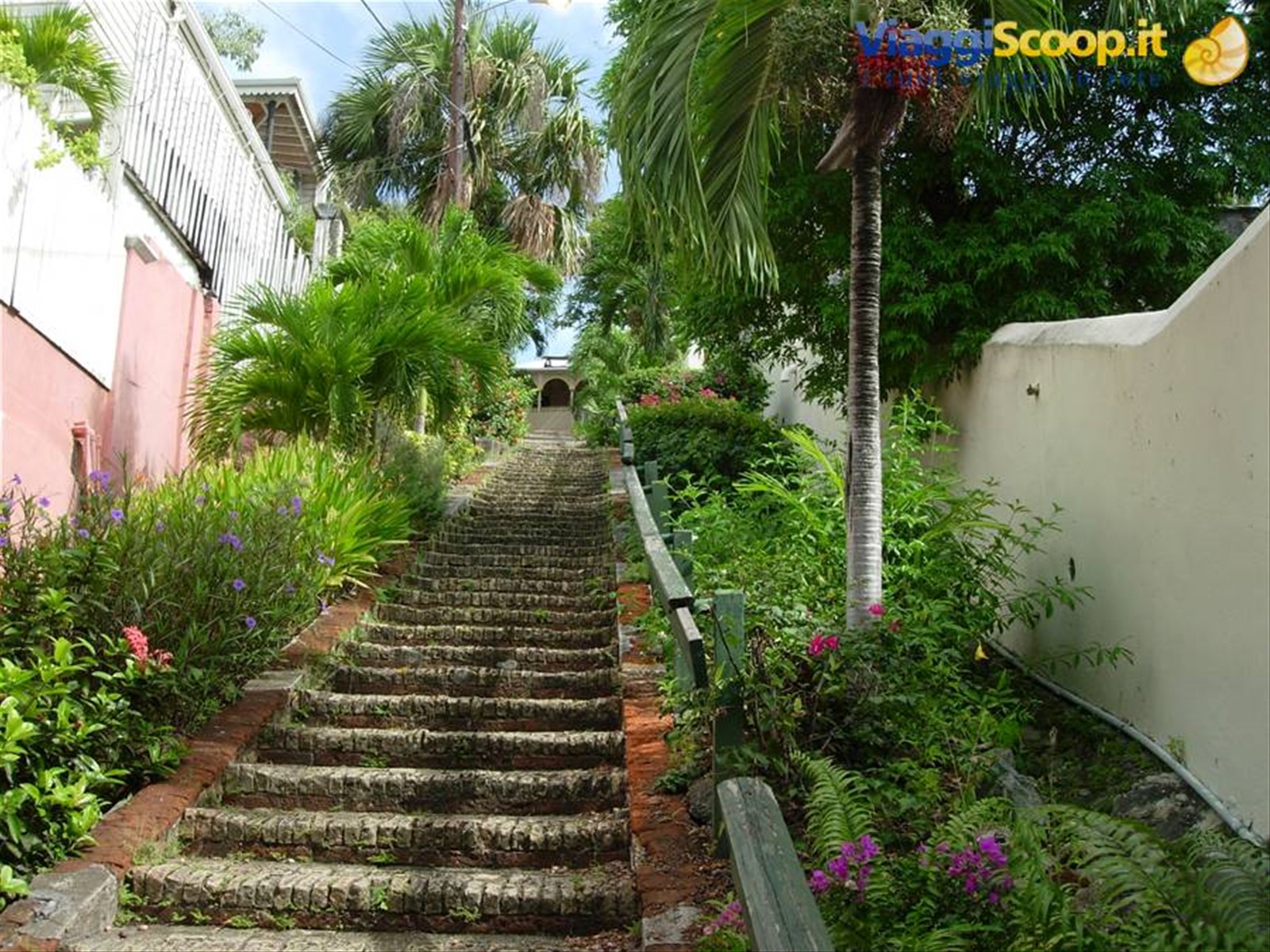 99 steps !