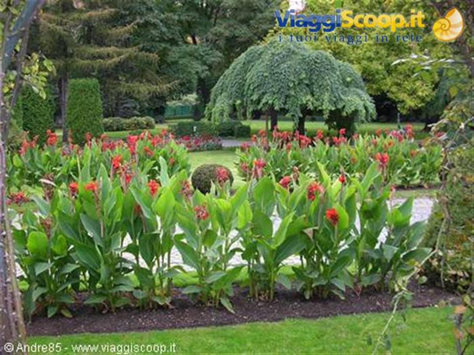 splendido giardino