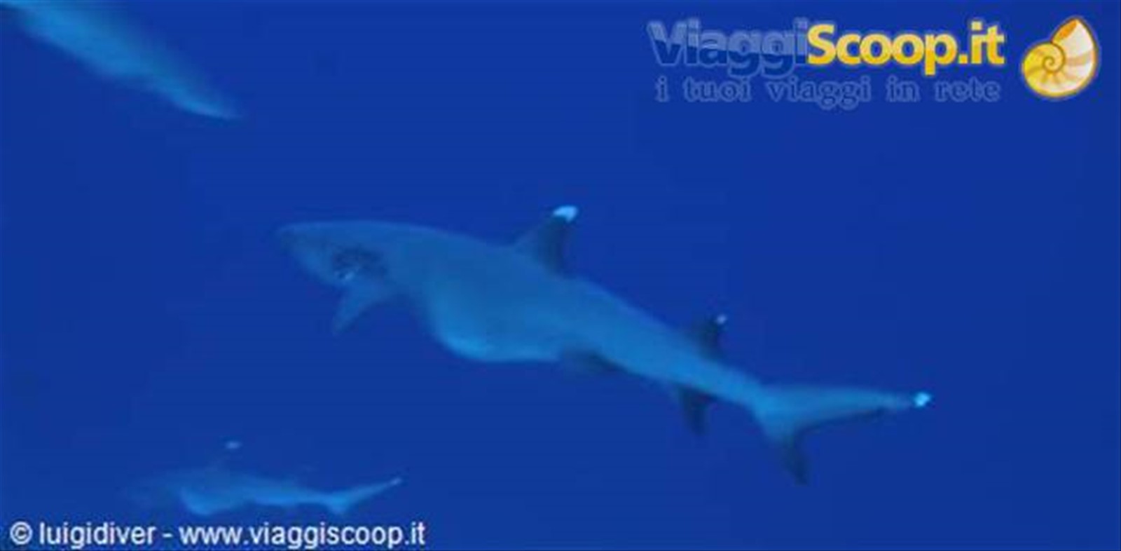 Sub Crociera Maldive