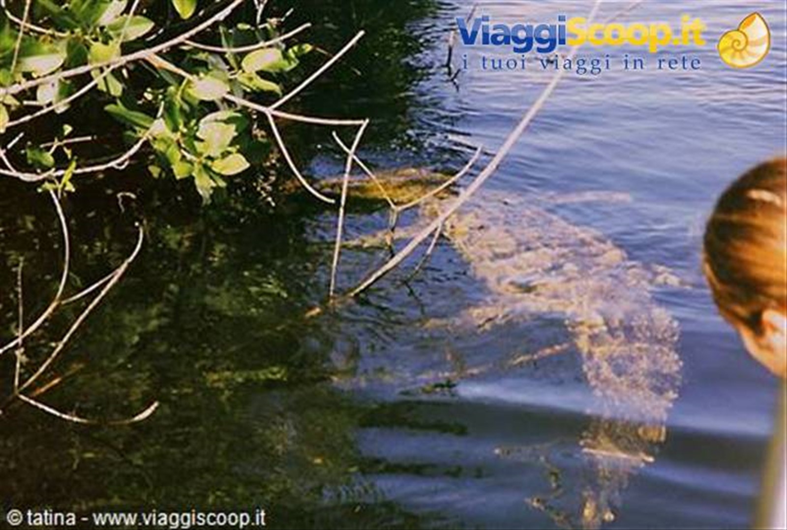 Foto di viaggio in GIAMAICA
