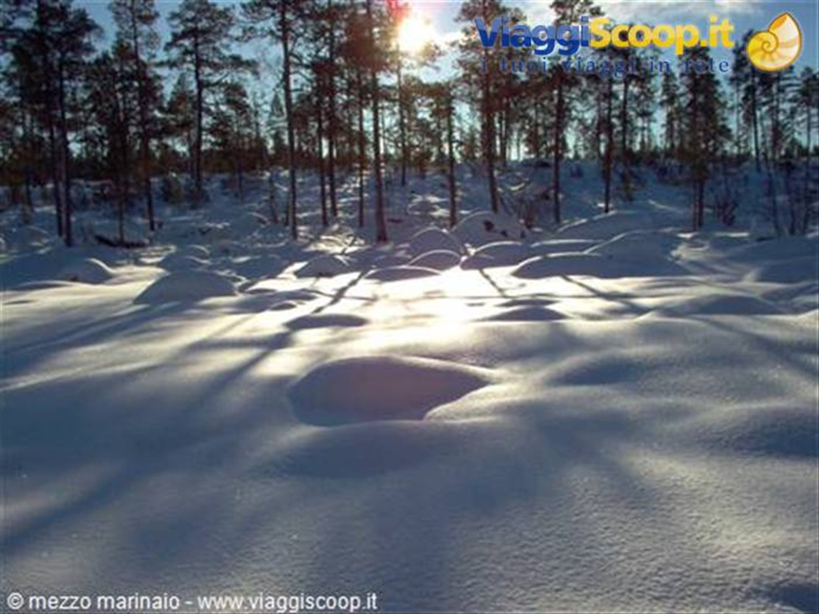 controluce
