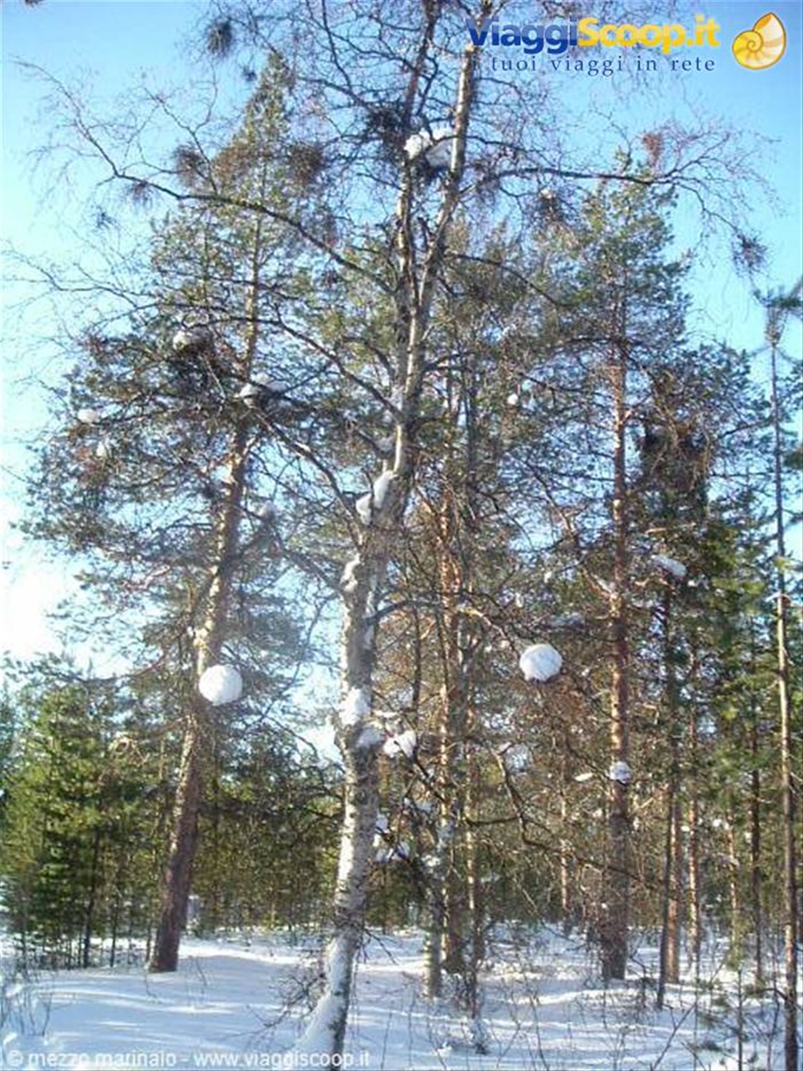 Foto di viaggio in FINLANDIA