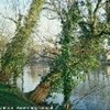 foto viaggio BELGIO