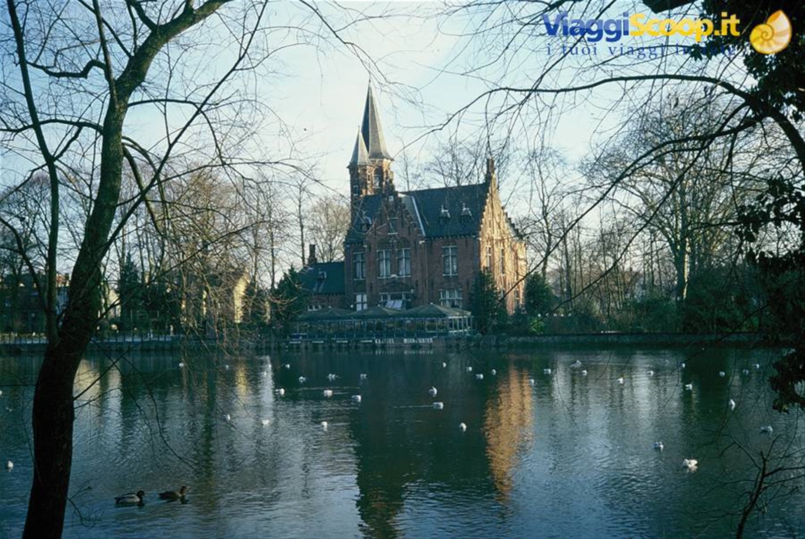 Foto di viaggio in BELGIO