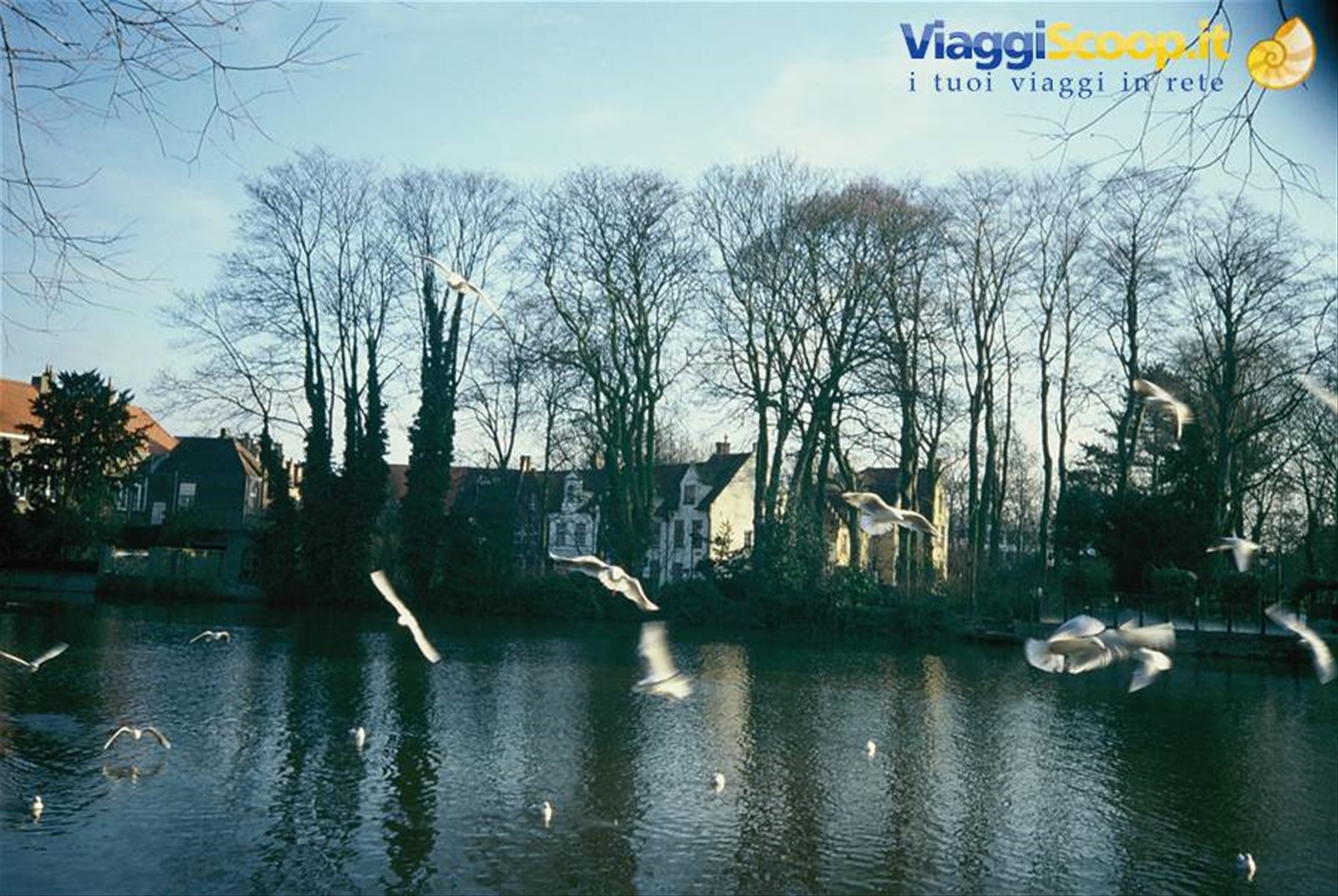 Foto di viaggio in BELGIO