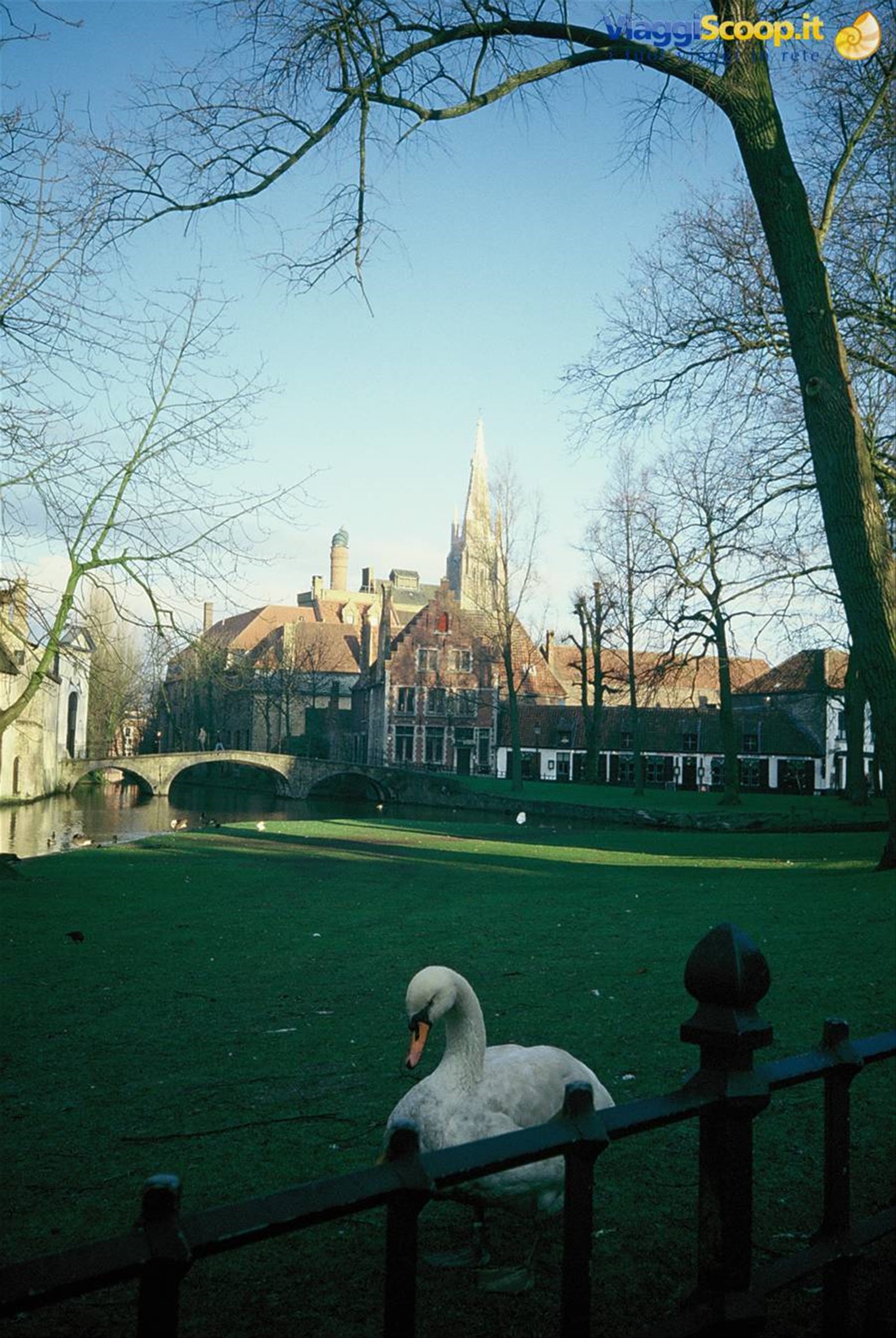 Foto di viaggio in BELGIO
